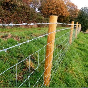barbed wire