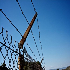 barbed wire